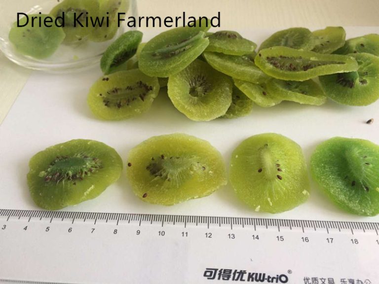 Dried Kiwi Farmerland (2)