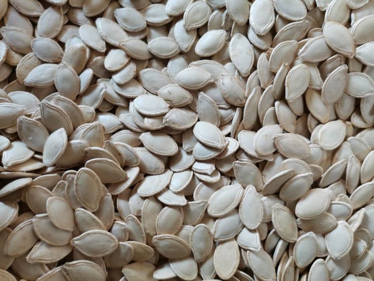 shine skin pumpkin seeds