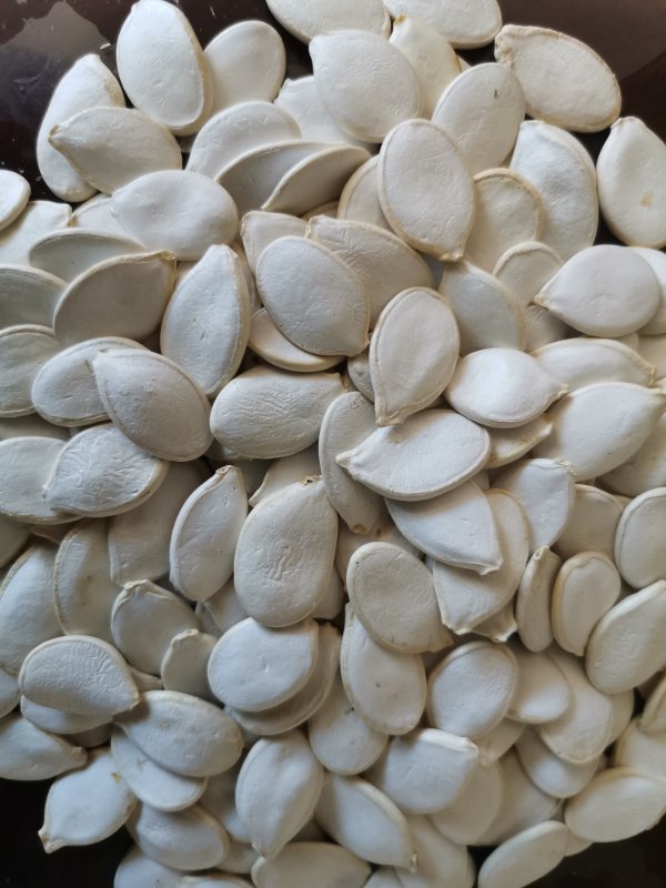 snow white pumpkin seeds